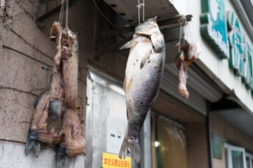 Drying Fish Outside a Wet Market